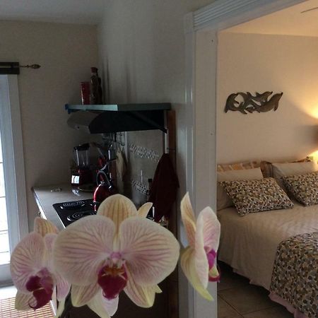 Mediteranean Style Ohana Rental / Garden Bungalow In Pahoa Honolulu Landing Exteriör bild