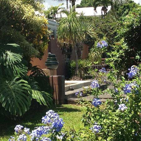 Mediteranean Style Ohana Rental / Garden Bungalow In Pahoa Honolulu Landing Exteriör bild