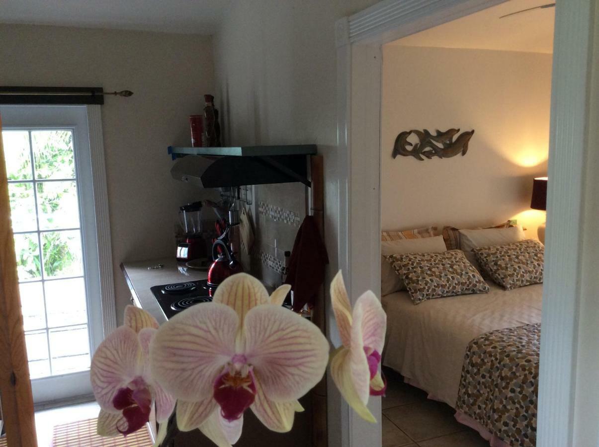 Mediteranean Style Ohana Rental / Garden Bungalow In Pahoa Honolulu Landing Exteriör bild
