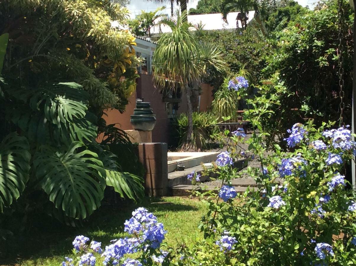 Mediteranean Style Ohana Rental / Garden Bungalow In Pahoa Honolulu Landing Exteriör bild